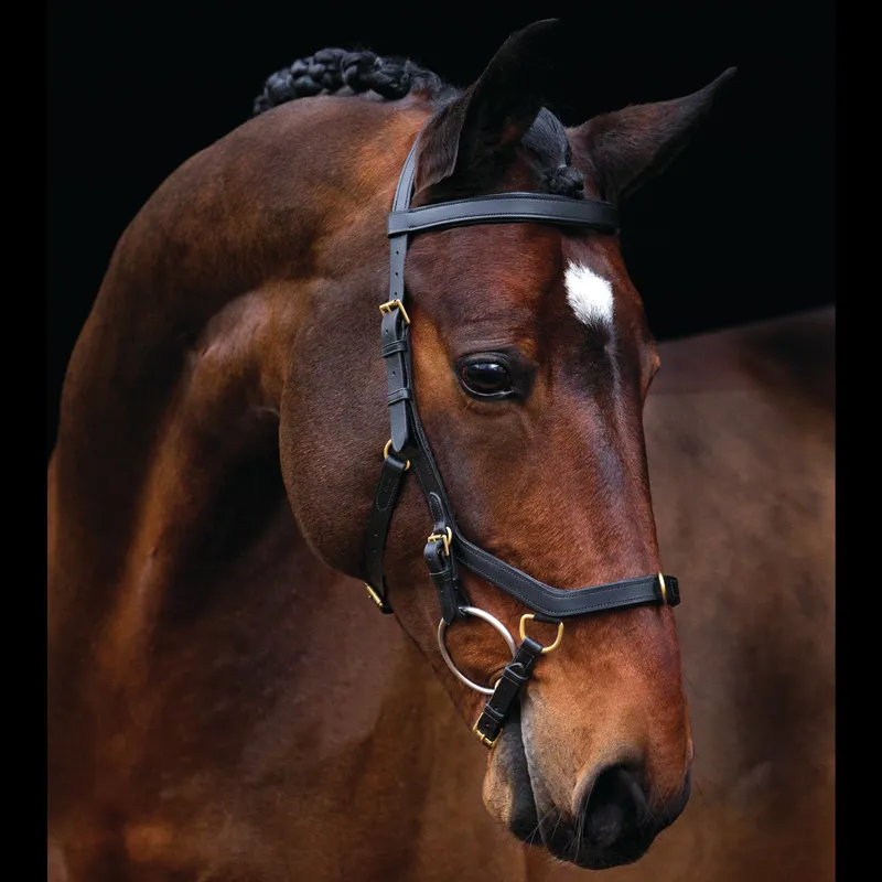 Rambo Micklem Multi Bridle - No Reins - Black 